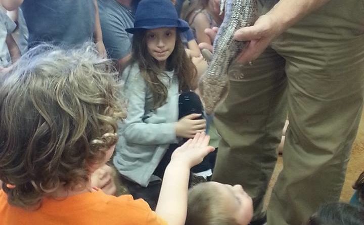 Capitol of Texas Zoo Show at Kaleidoscope Toys