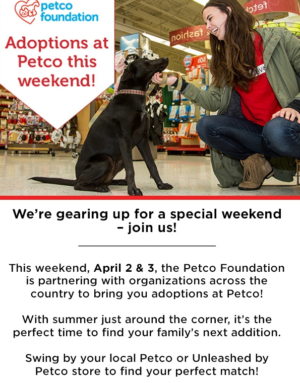 Petco adoptions