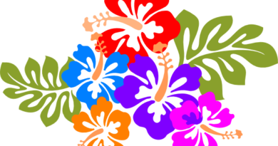 Brushy Creek 4th & 5th Grade Hawaiian Hula Party