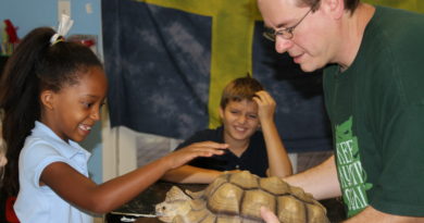 Austin Reptile Show at Safari Champ
