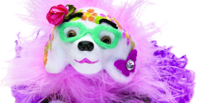 Kaleidoscope Toys FUNtivity Class