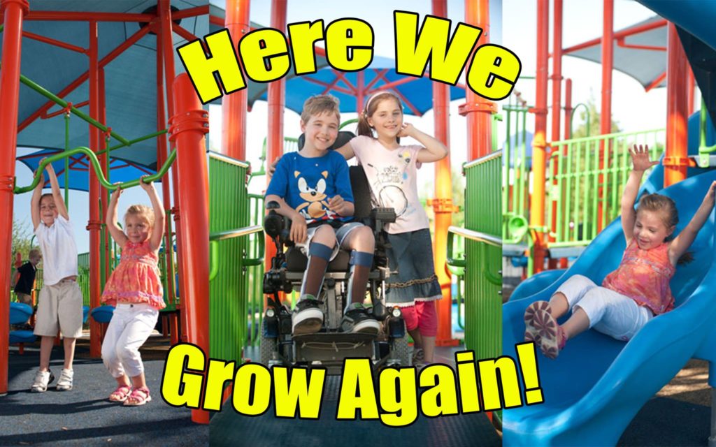 Play for All Abilities Park 