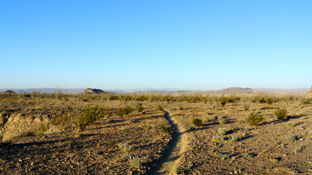 Free REI Find Your Park Class: Big Bend 
