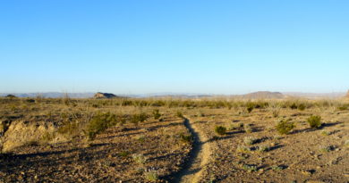 Free REI Find Your Park Class: Big Bend