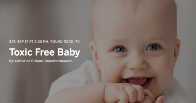 “Toxic Free Baby” Seminar at BabyEarth