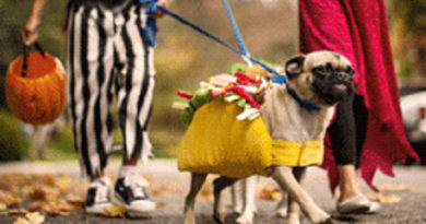 Pet Costume Contest at Petco