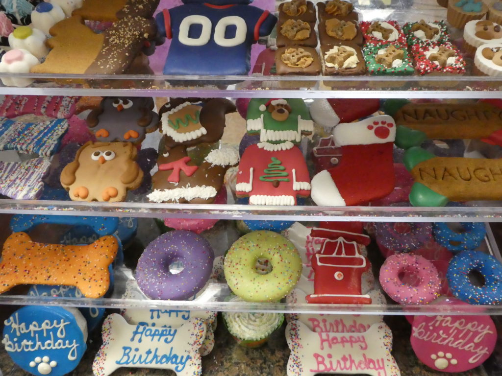 Round Rock Gift Guide - Natural Pawz