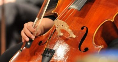 Free Williamson County Symphony Concerts in the Park