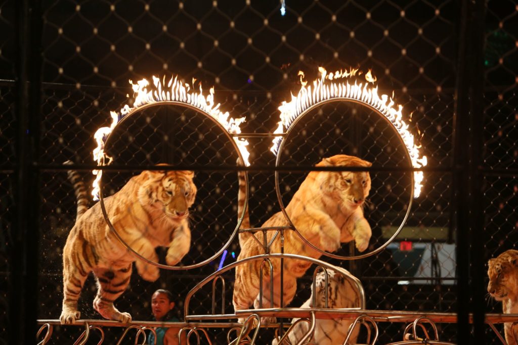 Ben Hur Circus 
