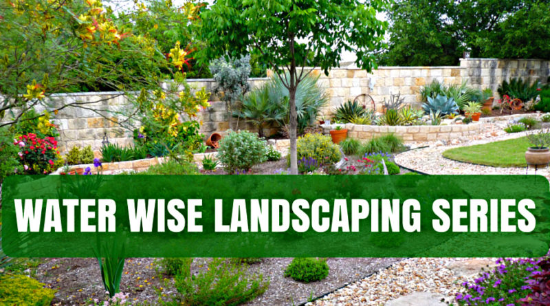 Water Wise Landscaping Series