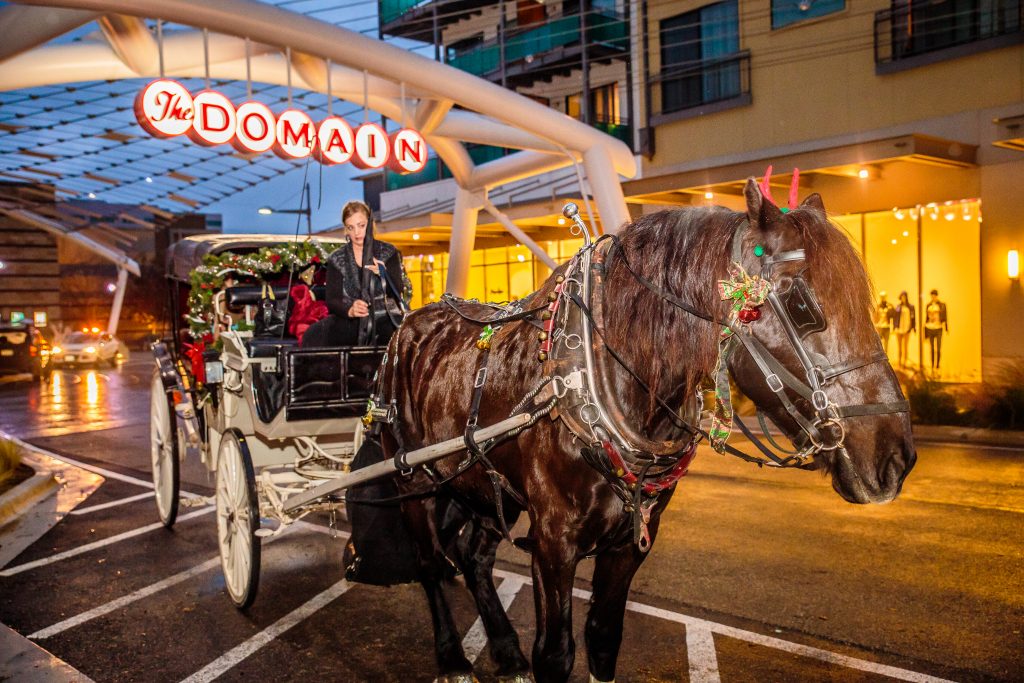 Holiday Events at The Domain 