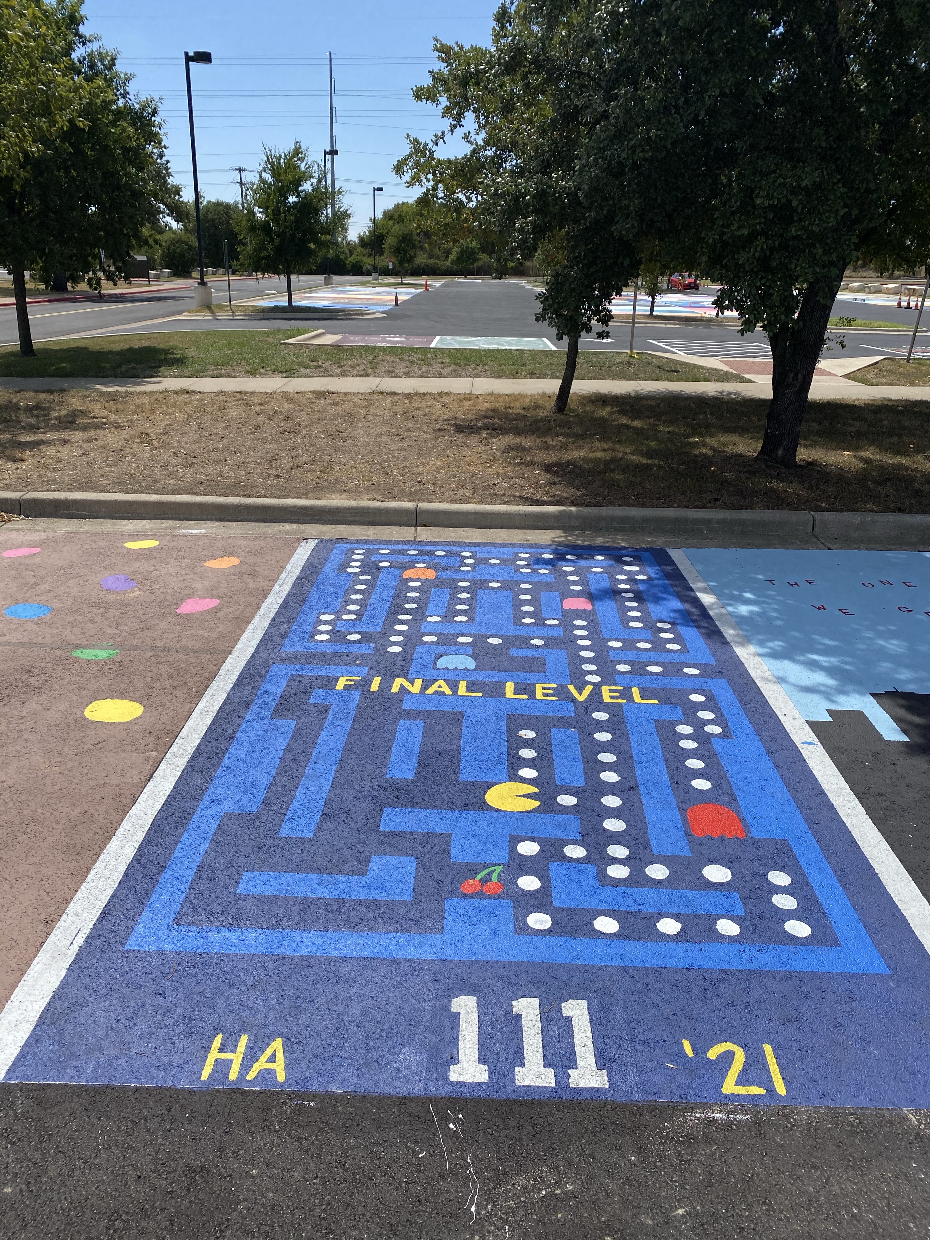 Senior Spots