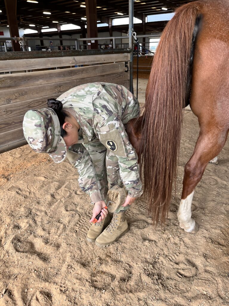 ROCK - Veteran w/horse